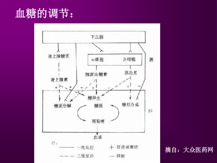 糖尿病营养与膳食.ppt_第3页