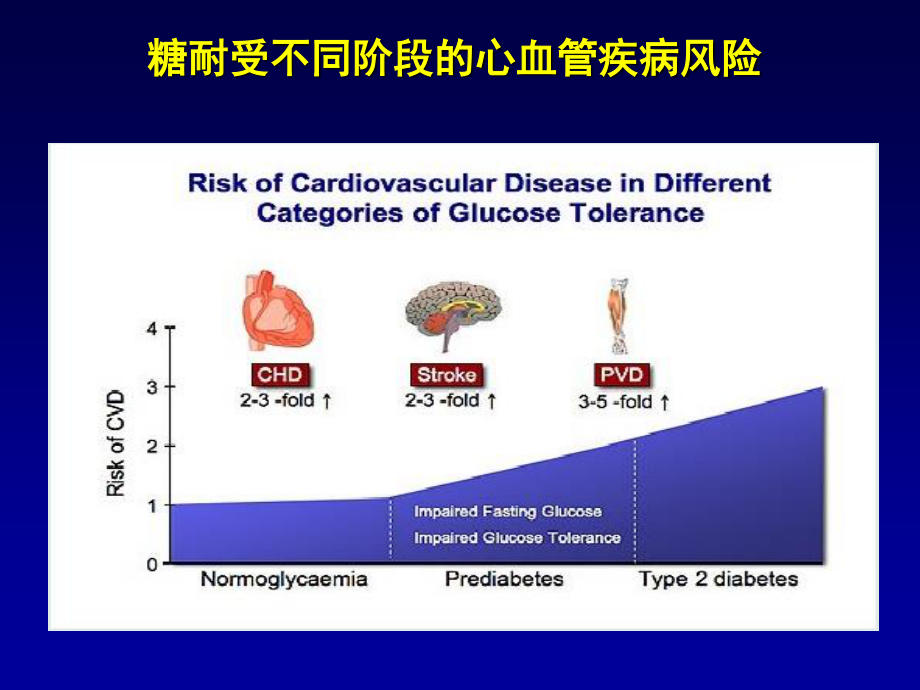 糖尿病大血管并发症.ppt_第3页