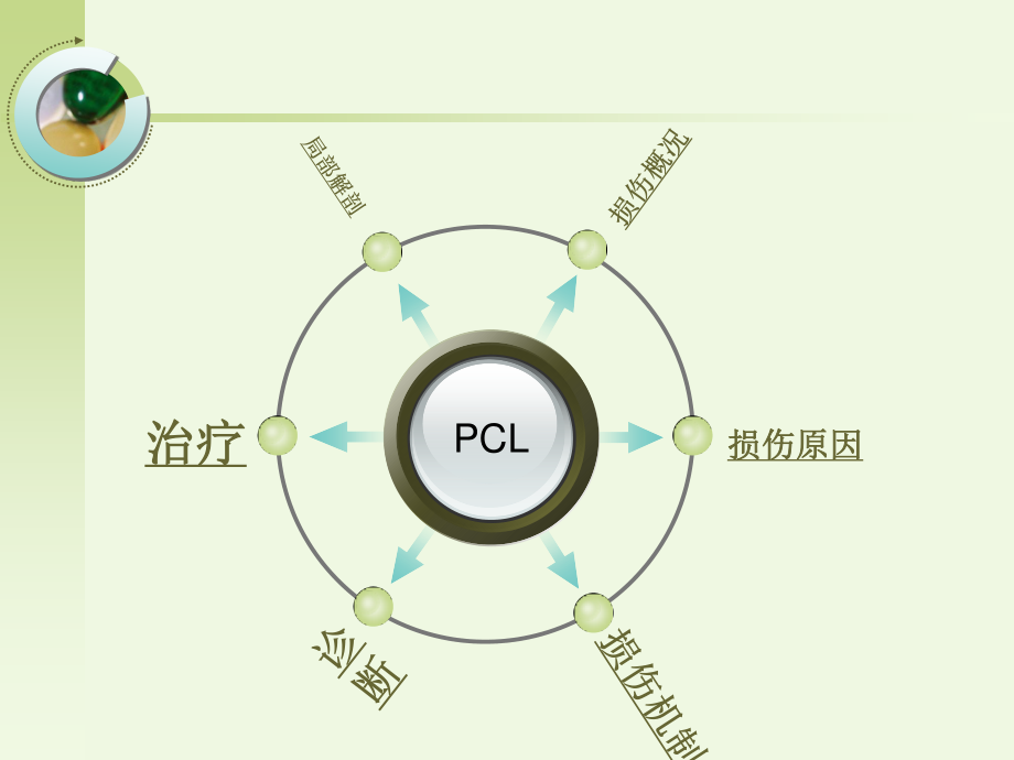 后交叉韧带损伤的诊疗.ppt_第2页