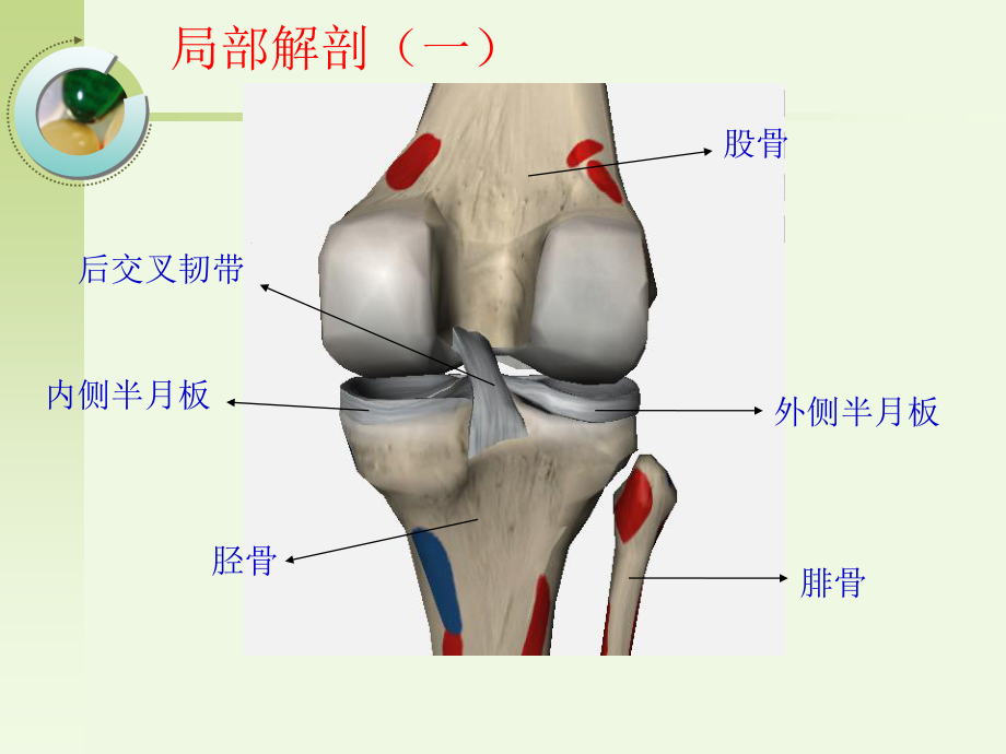 后交叉韧带损伤的诊疗.ppt_第3页