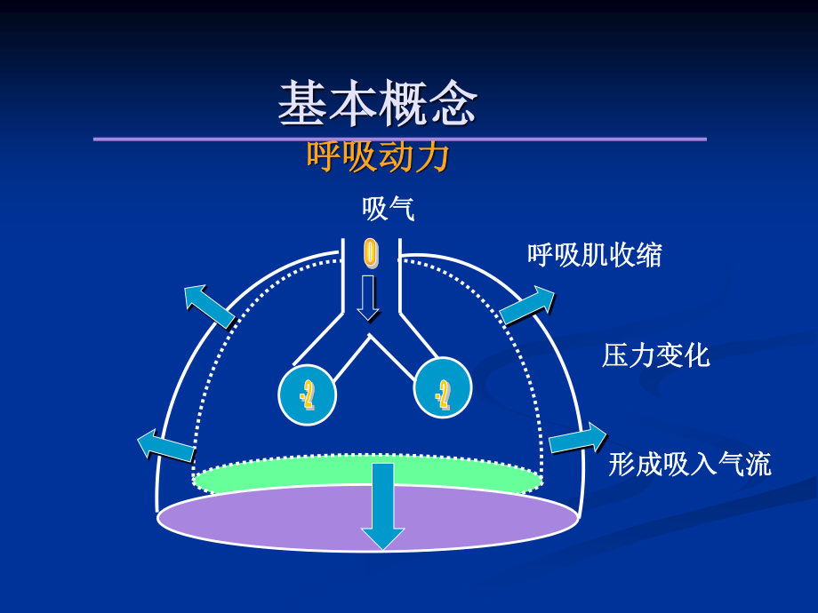 如何使用呼吸机.ppt_第2页