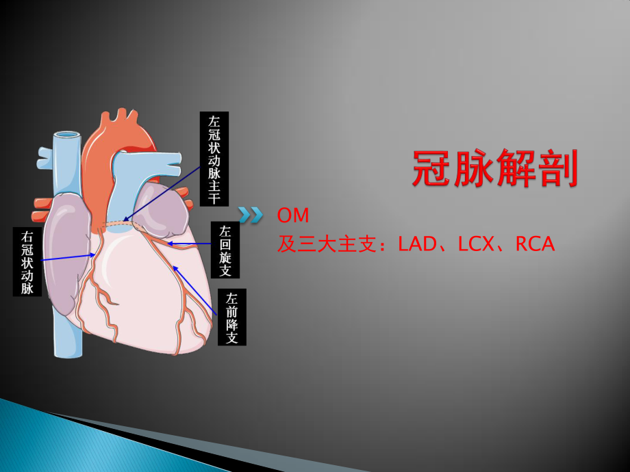 急性心肌梗死心电图及指南部分分析.pptx_第2页