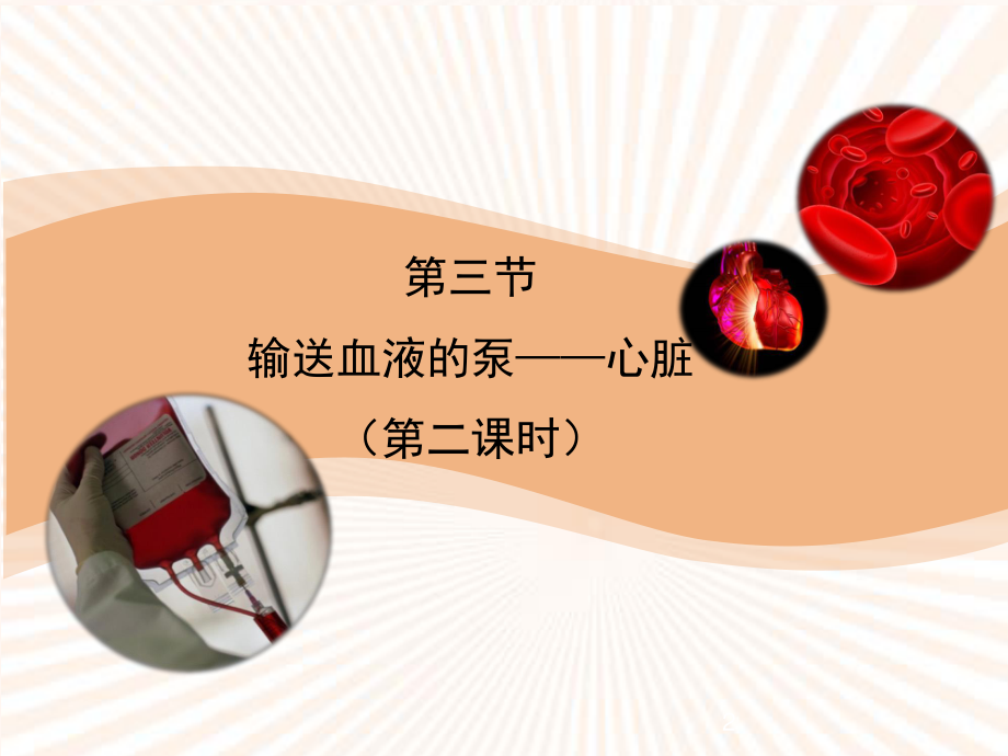 血液循环的途径.ppt_第2页