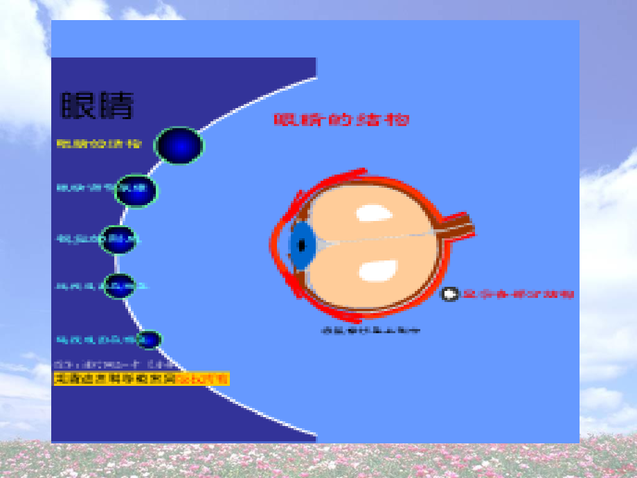 眼和视觉1.ppt_第3页