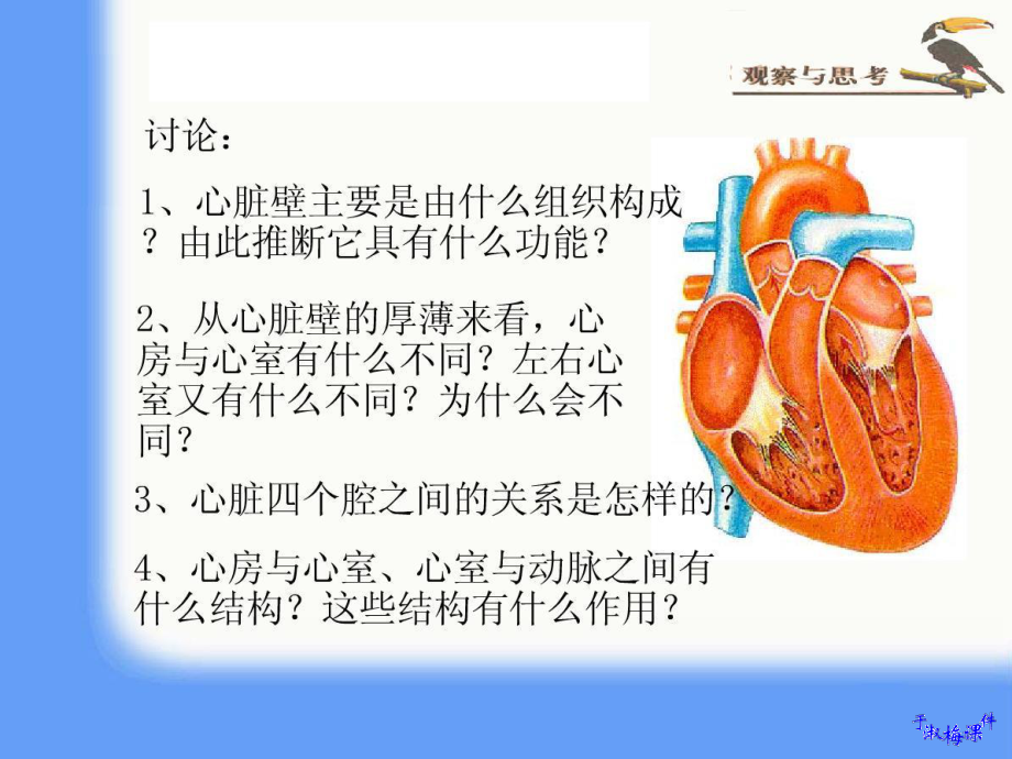 教学目标1知识目标(1)描述心脏的结构及功能(2)概.ppt_第3页