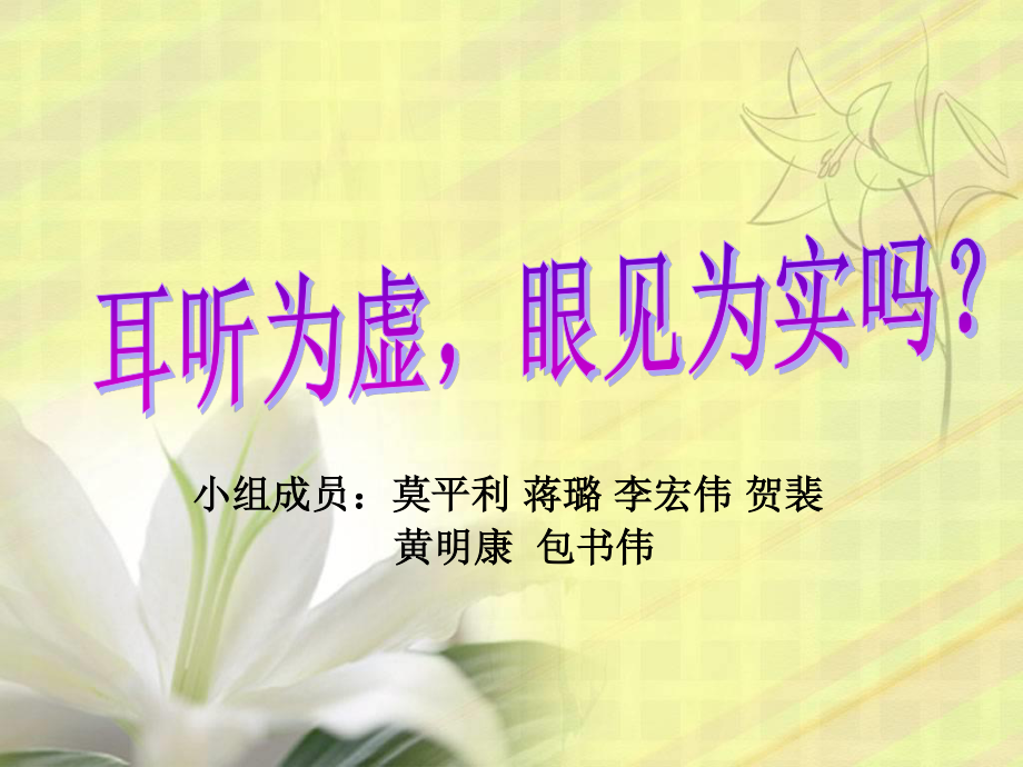 眼见为实要点.ppt_第1页