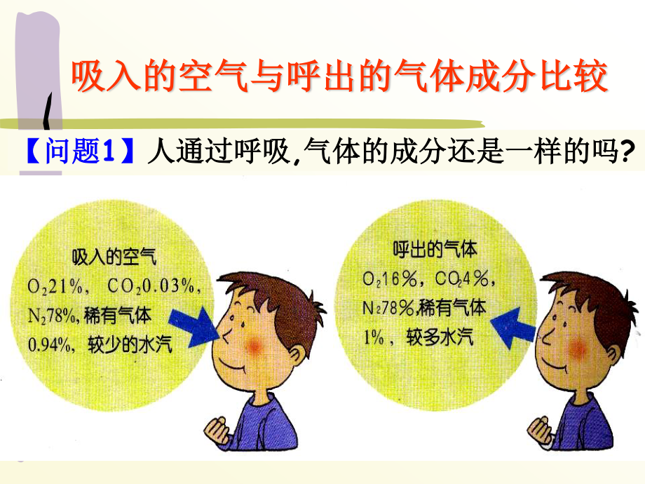 呼吸道和肺.ppt_第3页