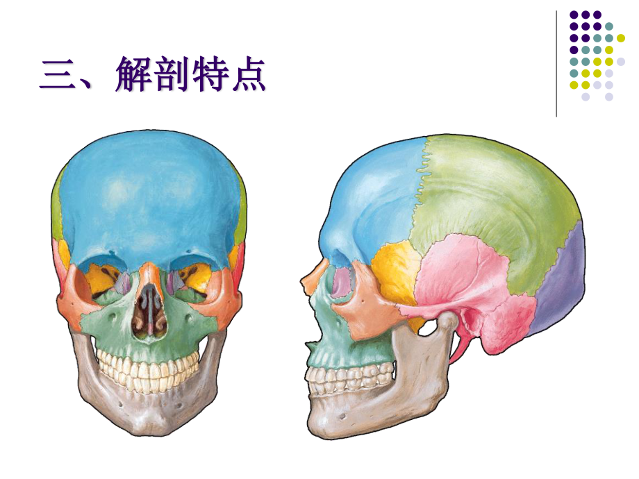 口腔颌面外科-颌骨骨折.ppt_第3页