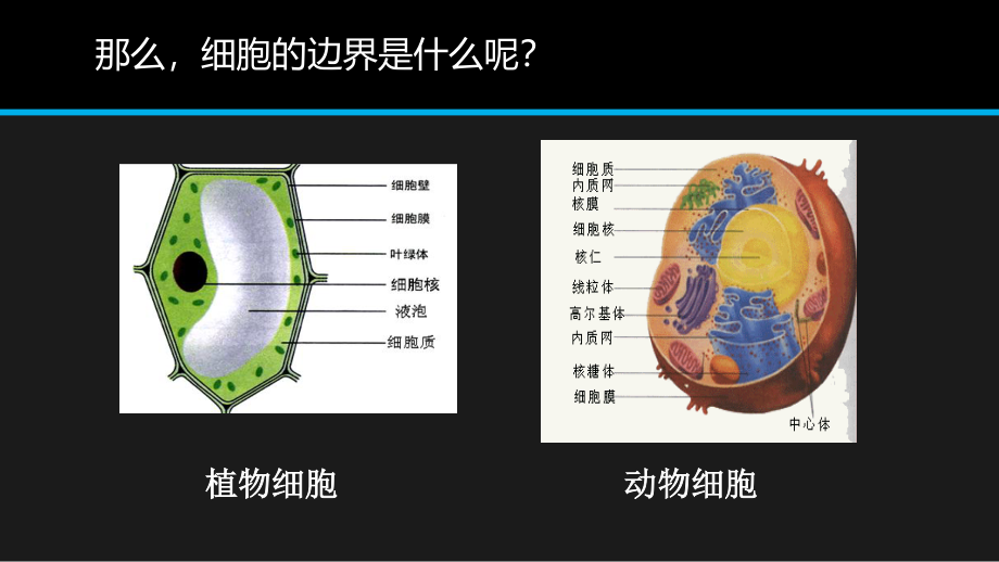 必修1-分子与细胞-第1节-细胞膜──系统的边界.pptx_第3页