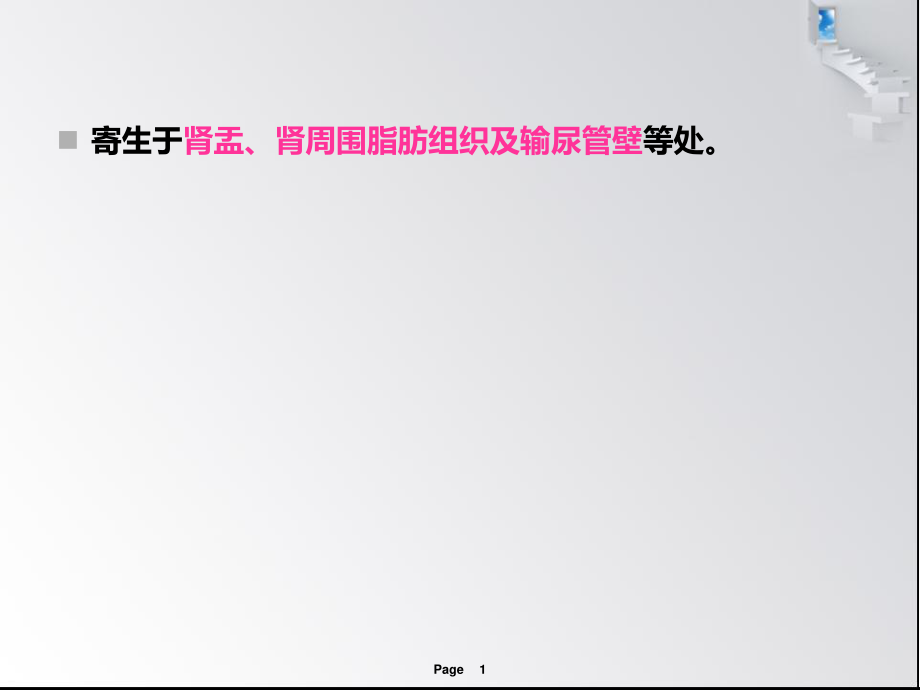 猪冠尾线虫病.ppt_第1页