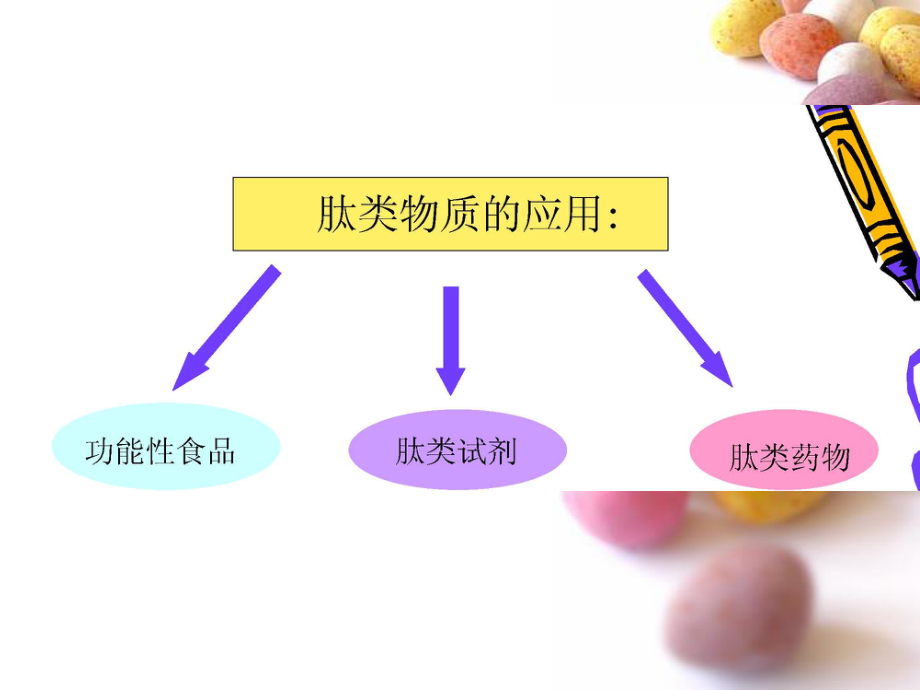 活性肽、活性蛋白质和功能性油脂.ppt_第3页