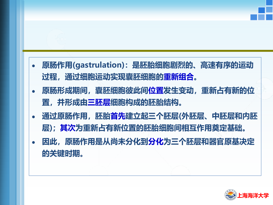 原肠作用.ppt_第2页