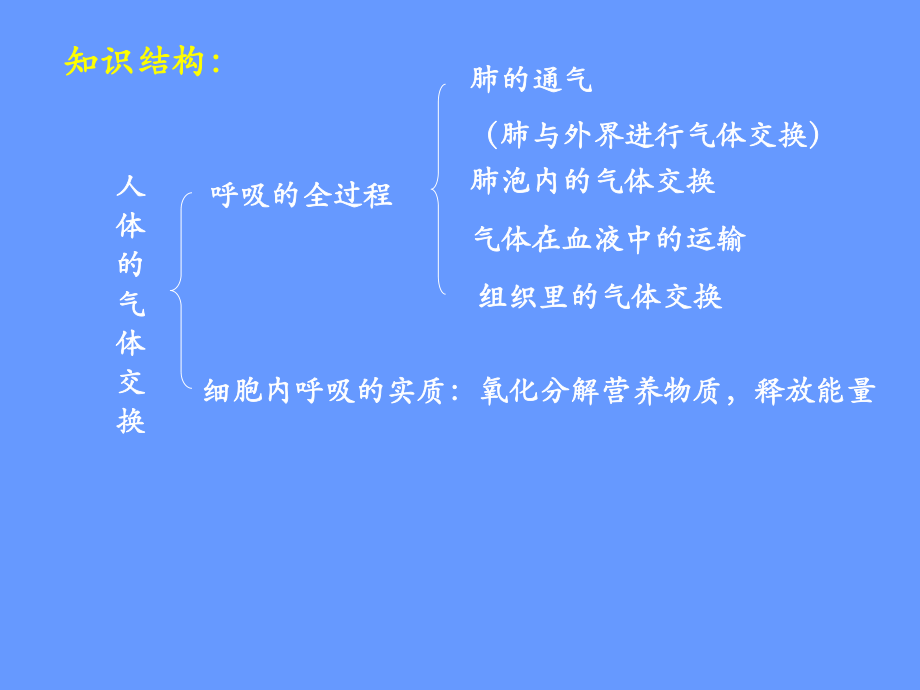 发生在肺内的气体交换1-(1).ppt_第2页