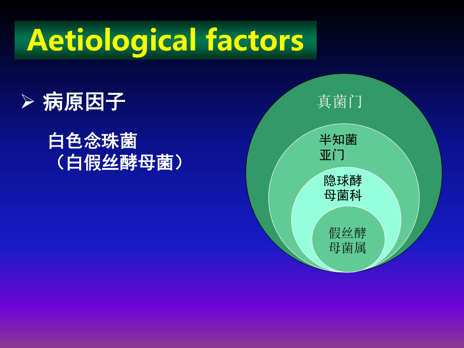 口腔白色念珠菌.ppt_第2页