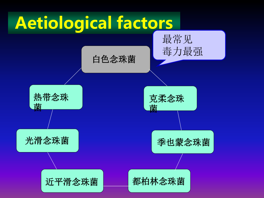 口腔白色念珠菌.ppt_第3页