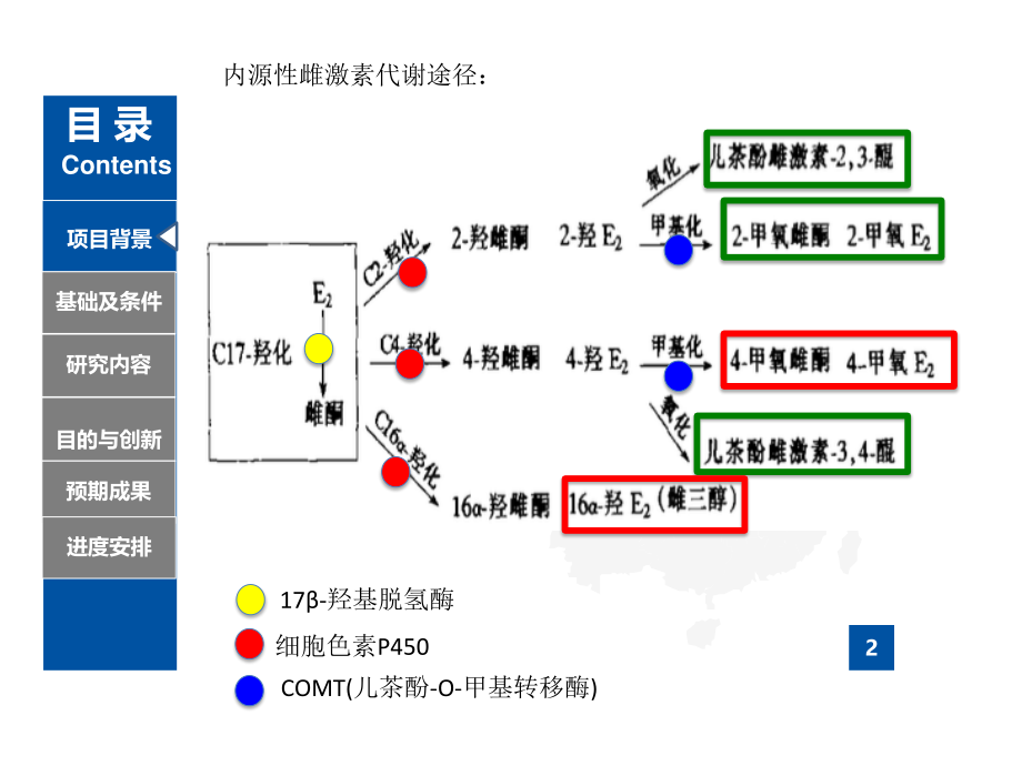 尿液雌激素代谢产物.pptx_第3页