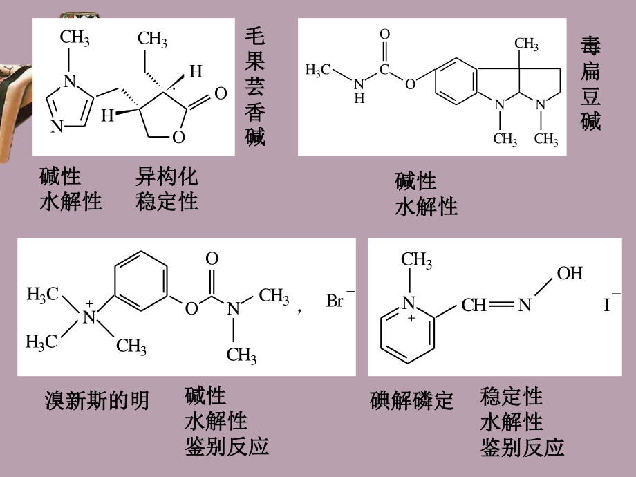 叔胺类解痉药.ppt_第2页