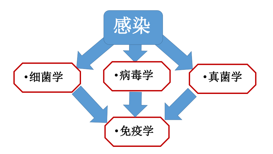 感染学基础知识.pptx_第2页