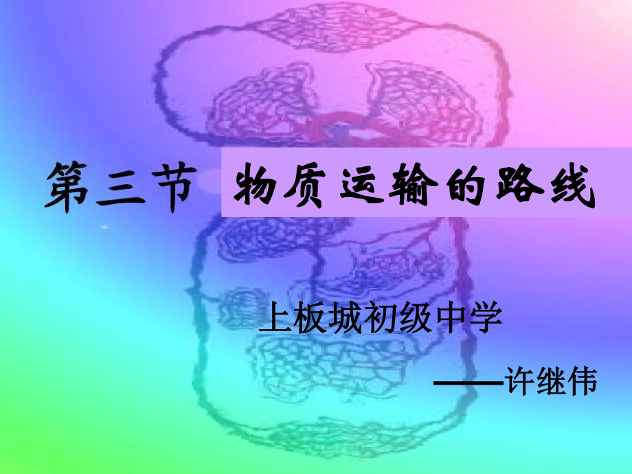 血液循环的路线.ppt_第1页