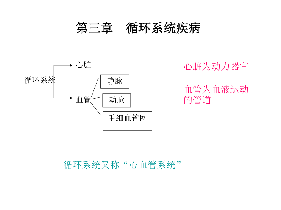 循环系统-心脏.ppt_第1页