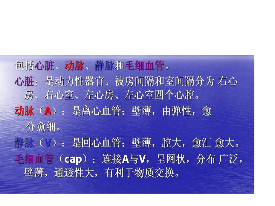 循环系统-心脏.ppt_第2页