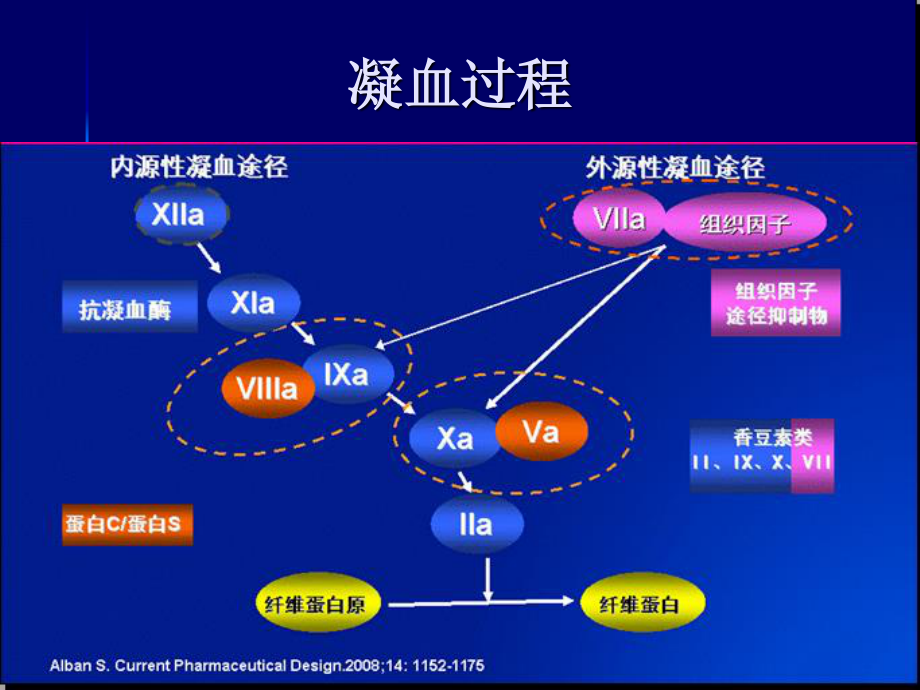 抗凝药及抗血小板.ppt_第2页