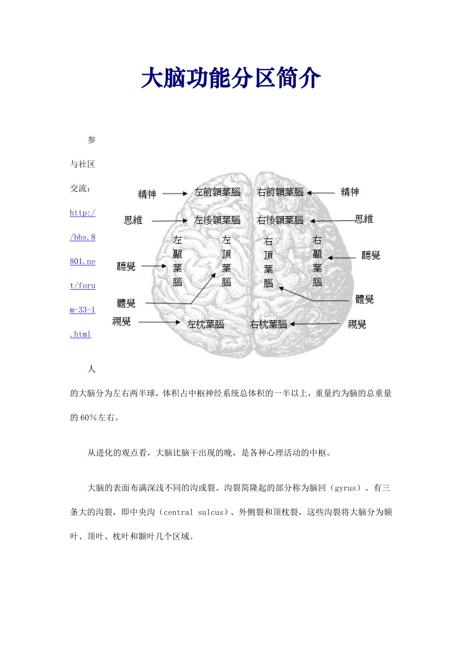 大脑功能分区简介.docx_第1页