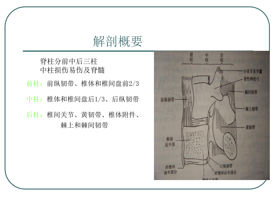 腰椎骨折.ppt_第3页