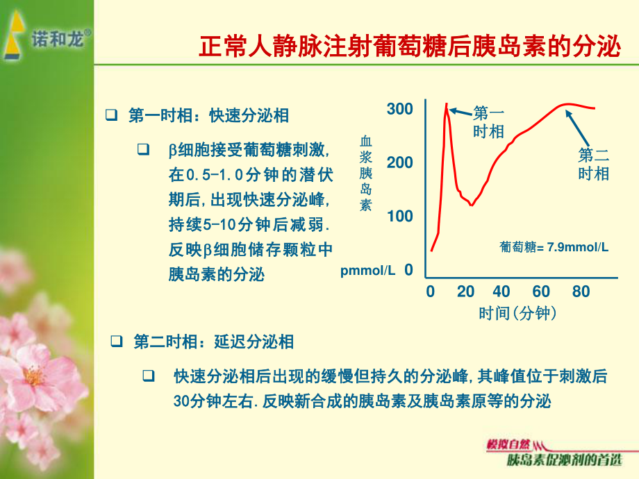 恢复生理性胰岛素分泌.ppt_第3页