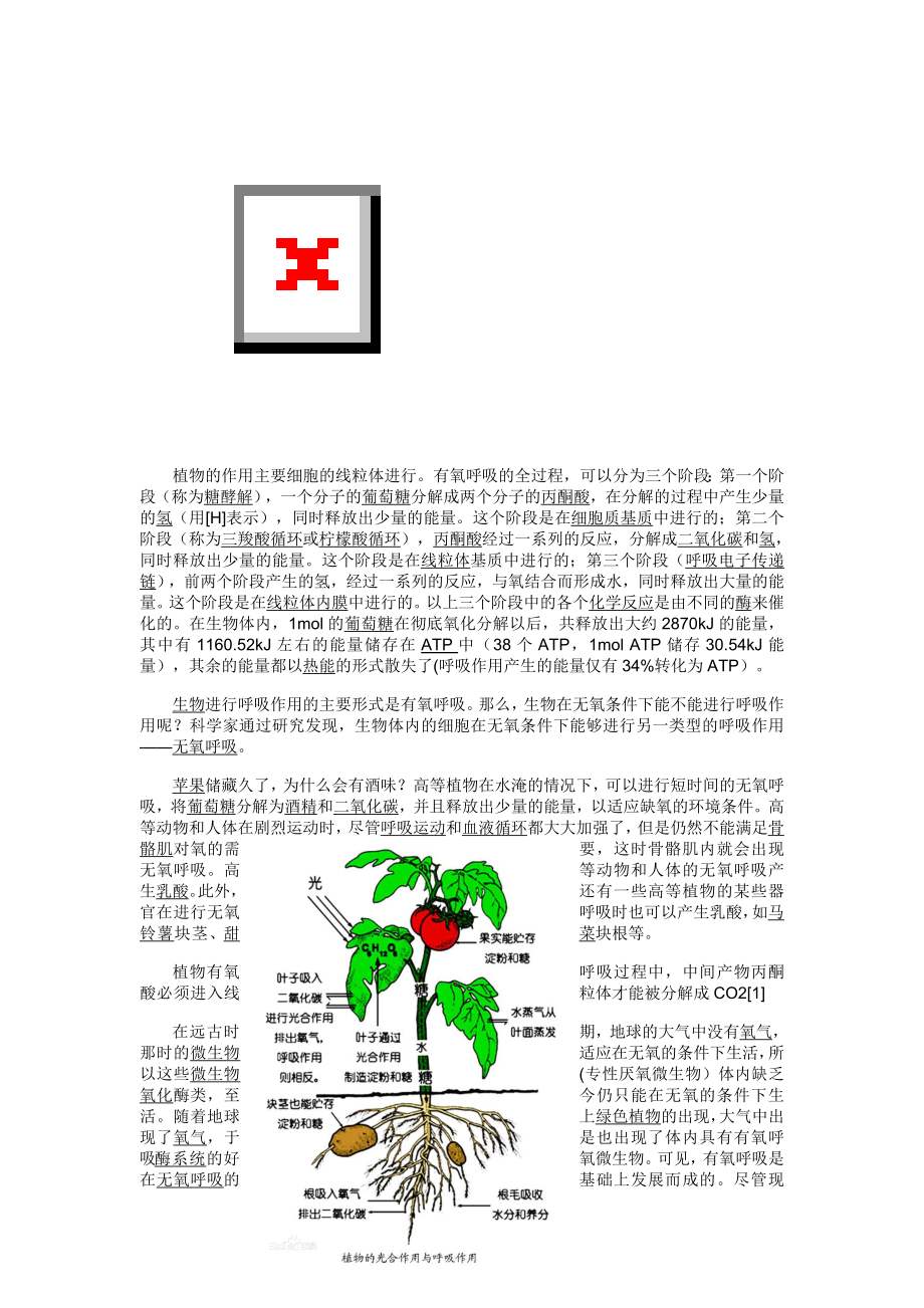 呼吸作用的全部过程.doc_第3页