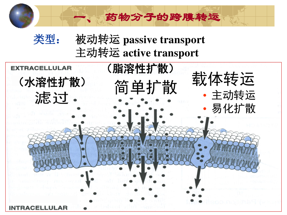 药动学(54学时).ppt_第2页