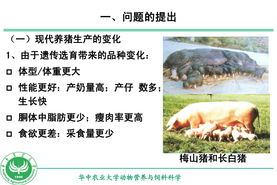 母猪营养的研究进展及其实用技术-彭健.pdf_第3页