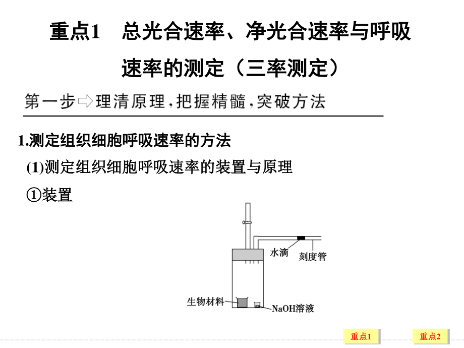 总光合速率、净光合速率与呼吸速率的辨析.ppt_第2页