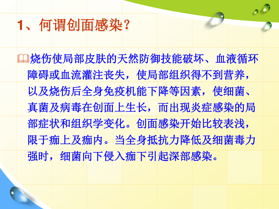 烧伤感染与抗生素使用.pptx_第2页