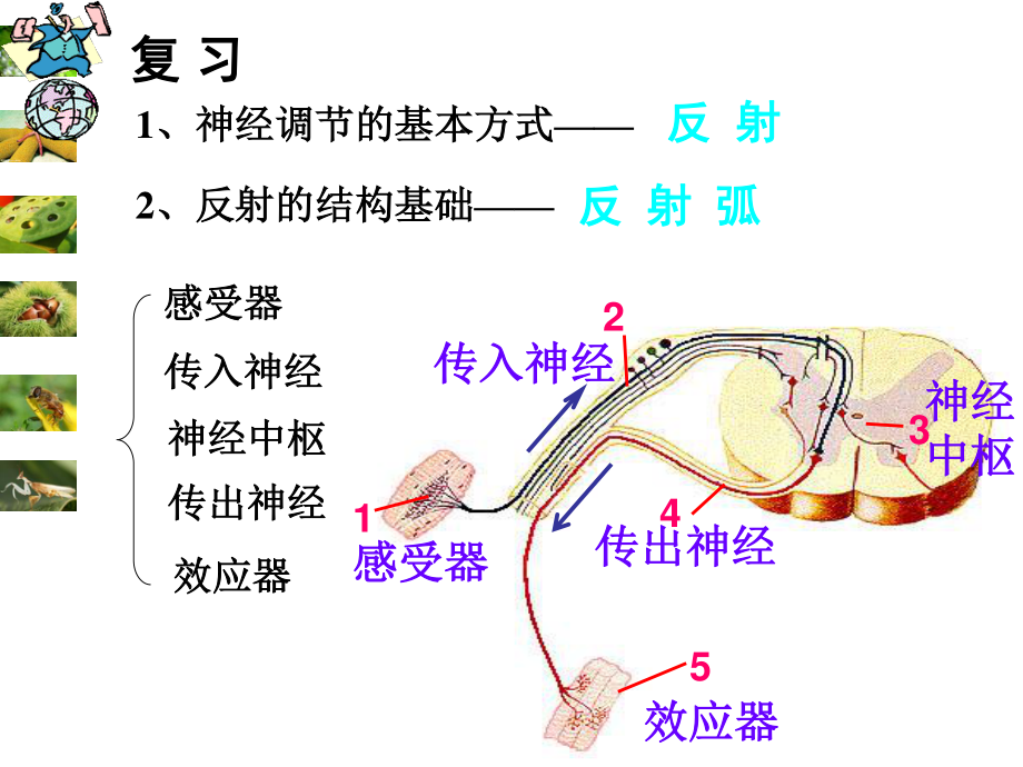 甲状腺激素分泌异常功能.ppt_第1页