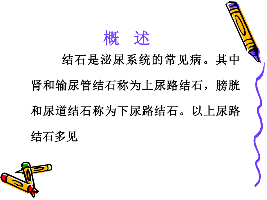 可防止导尿管脱出引流袋每日更换观察.ppt_第2页