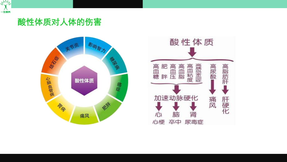 酸的痛--痛风常识与药食同源调理.pptx_第3页