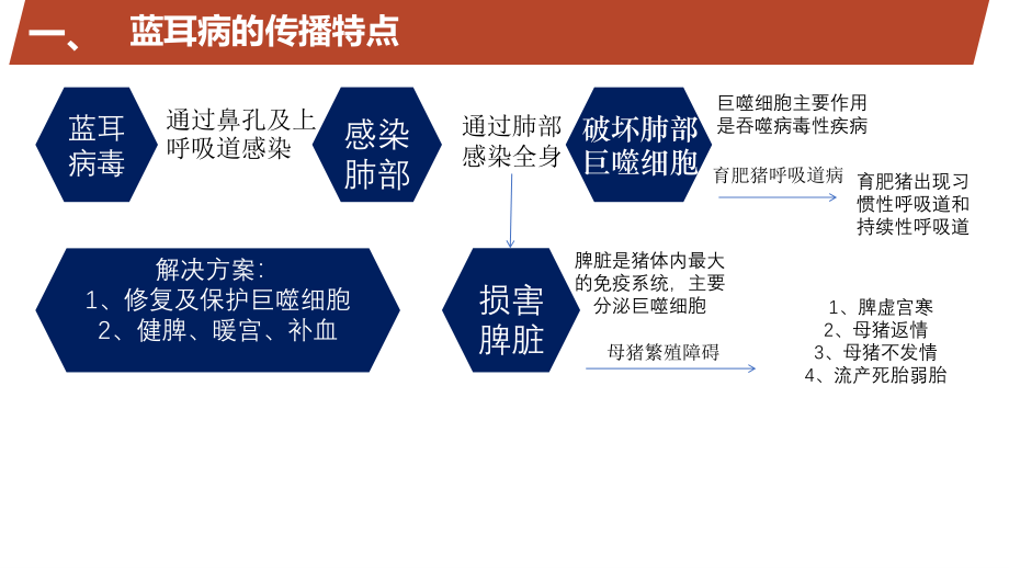 猪繁殖与呼吸综合症.ppt_第3页