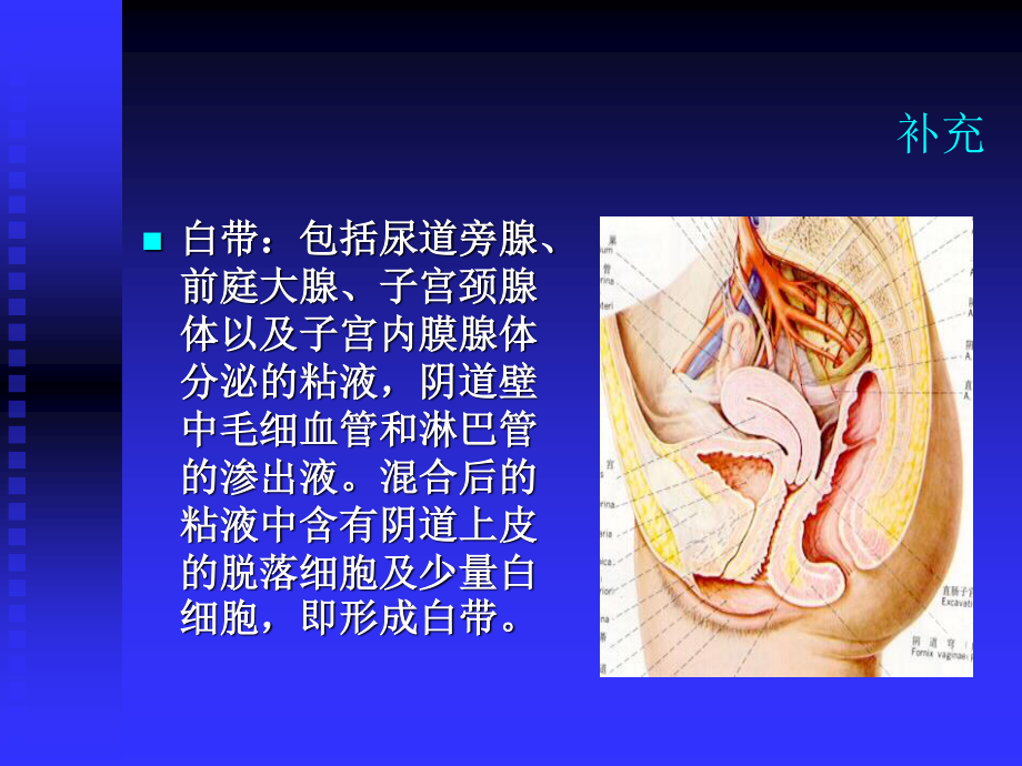 带下病2009简介.ppt_第3页