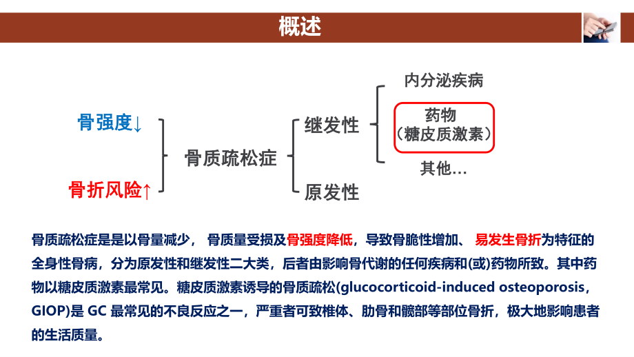 糖皮质激素诱导的骨质疏松.pptx_第3页