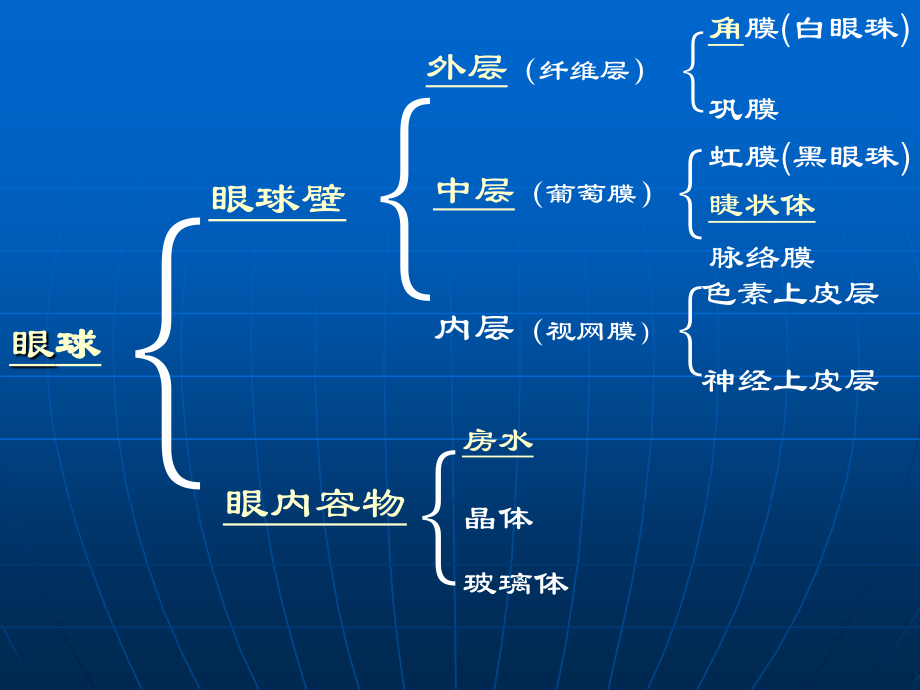 眼科知识与低视力常识.ppt_第3页