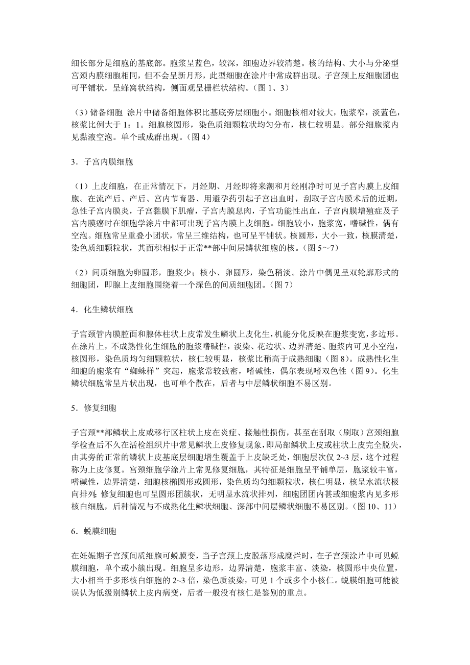 子宫颈正常组织学与细胞学.doc_第3页