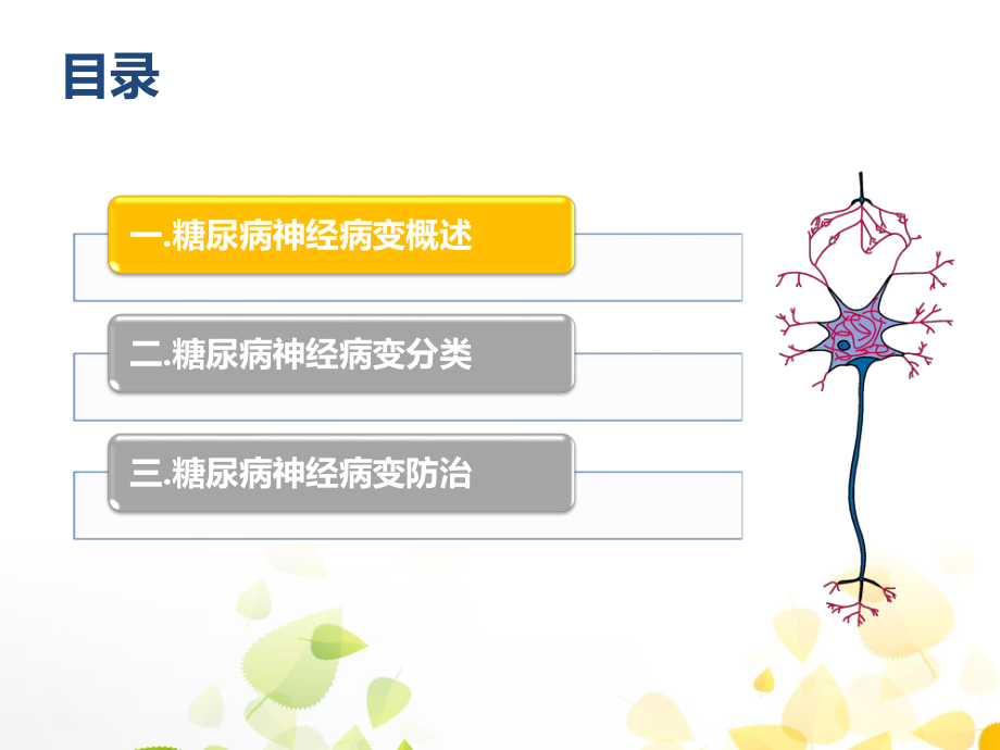 糖尿病神经病变及筛查.ppt_第2页