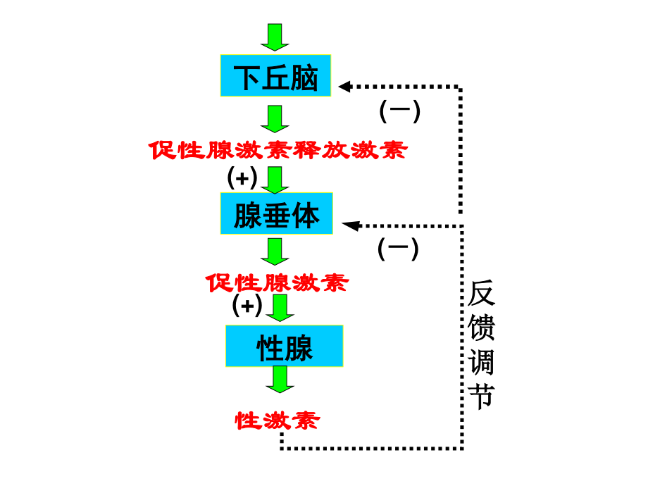 血糖平衡与调节.ppt_第2页