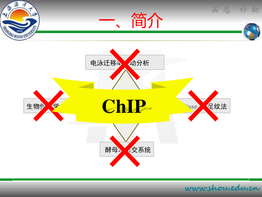 染色质免疫共沉淀PPT.pptx_第3页