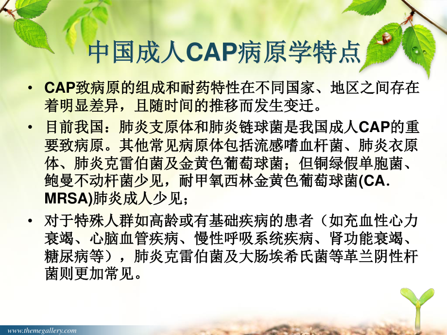 社区感染性肺炎.ppt_第2页