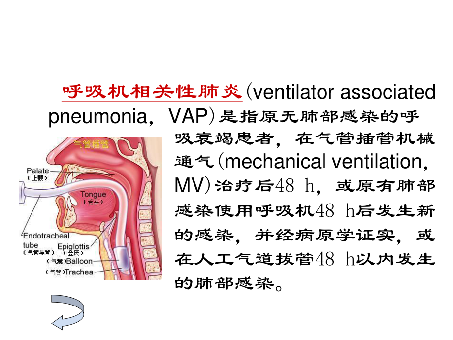 呼吸机相关性肺炎2.ppt_第3页