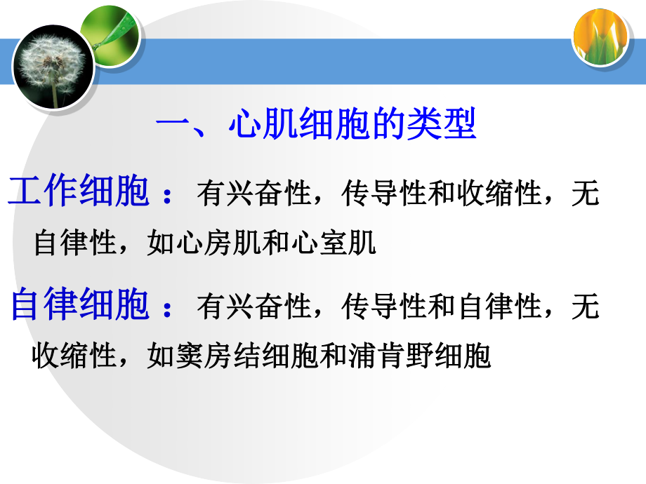 血液循环第一次课.ppt_第3页