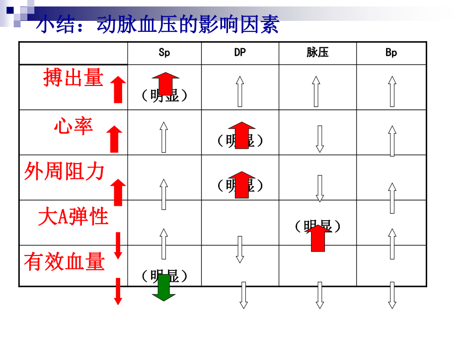 生理-循环系统-心血管功能的调节.ppt_第3页