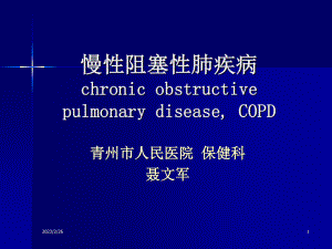 慢性阻塞性肺病.(副本).ppt